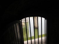 IMG 5175