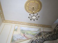 IMG 5263