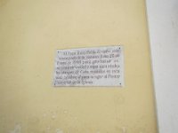 IMG 5347