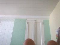 IMG 5350