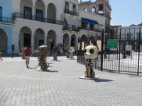 IMG 5399