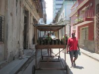 IMG 5507