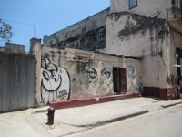IMG 5521
