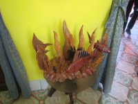 IMG 5555