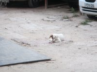 IMG 5574