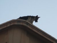 IMG 5578