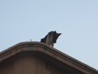 IMG 5579