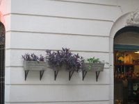 IMG 5583