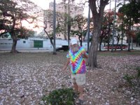 IMG 5612
