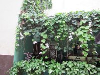 IMG 5647