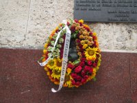 IMG 5651