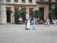 IMG 5686