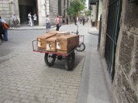 IMG 5687