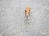 IMG 5694