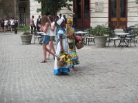 IMG 5700