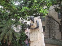 IMG 5705