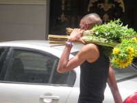 IMG 5784