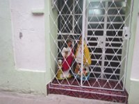 IMG 5855