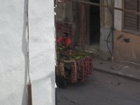IMG 5879