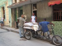 IMG 6086