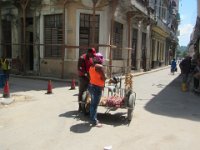 IMG 6178