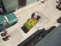 IMG 6179