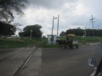 IMG 6232