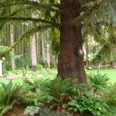 DSC09404