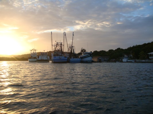 DSC01187.JPG