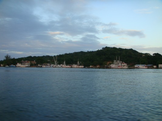 DSC01194.JPG