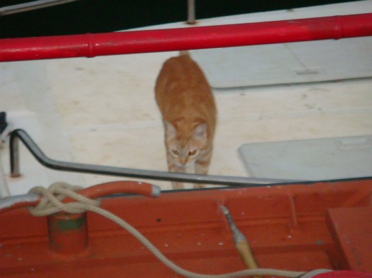 DSC01207.JPG