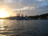 DSC01187.JPG