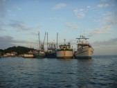 DSC01189.JPG