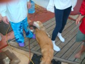 DSC01204.JPG