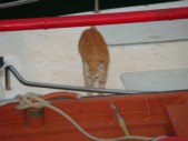 DSC01207.JPG