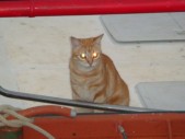 DSC01208.JPG
