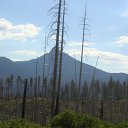 DSC09208