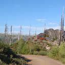 DSC09224