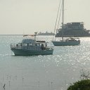 DSC09687