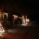 DSC09706