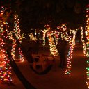 DSC09734