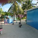 DSC09797