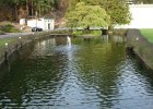 DSC09311